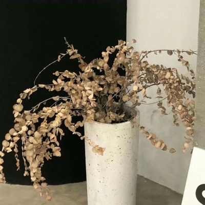 兽设沙漠场景绘制FurryQQ群